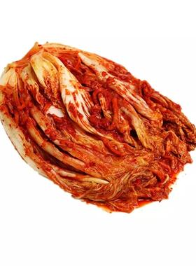 泡菜韩国纯素食辣白菜无蛋奶