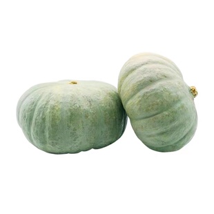 银栗南瓜种子超甜粉糯板栗味四季可种阳台盆栽蔬菜种籽春季禾之元