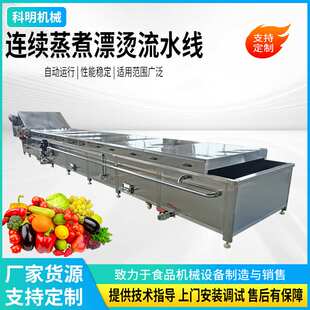 丸子蒸煮机牛肉丸预煮漂烫设备全自动鸡爪鸭爪卤煮机 大型隧道式