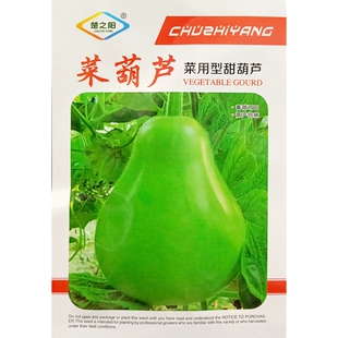 菜葫芦种子圆蒲瓜正圆瓠嫩瓜食用菜用型蔓生中早熟味甜种籽约30粒