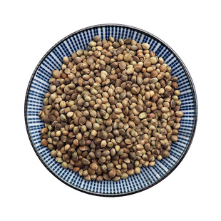 火麻仁火麻子500g克中药材火麻籽广西火麻仁麻子仁火麻仁籽红花籽