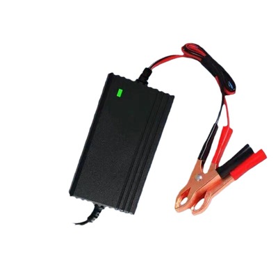 摩托车汽电瓶充器12V铅酸蓄池踏