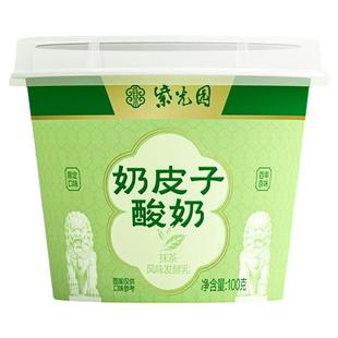 紫光园奶皮子酸奶风味凝固酪乳制品北京老字号清真小吃120g*6送礼
