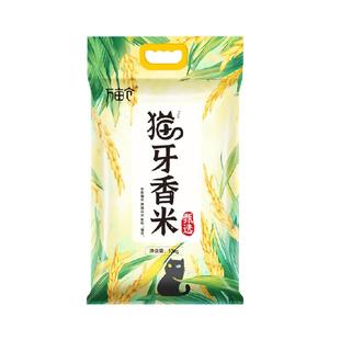 2025年新米万亩仓猫牙米长粒香米当季新米10kg20斤真空丝苗米籼米