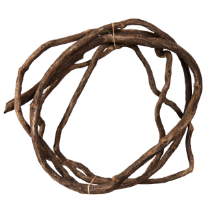 树藤枯藤仿真藤条装饰藤蔓绿植吊顶树叶树枝干植物墙阳台造景假树