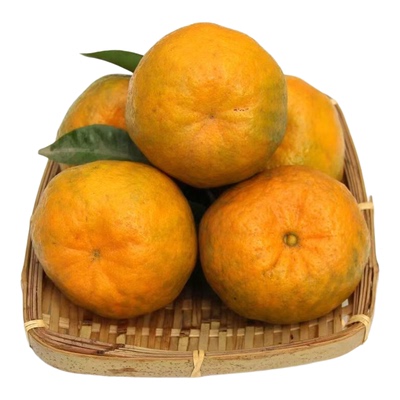 正宗碰柑芦柑新鲜柑橘应季孕妇水果果园现摘整箱