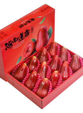 顺丰次日达丨甄选黑糖芭比莲雾