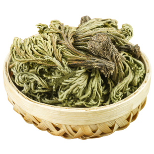 卷柏中药材250g还阳草不死草小叶卷伯新鲜干货野生正品官方旗舰店