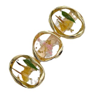 森系仙美干花侧边夹高级感前额刘海头饰发夹女2024新款气质一字夹