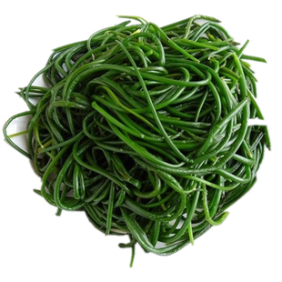 顺丰包邮新鲜沙葱酒店餐厅饭店菜店食材西北特色蔬菜饺子馅料凉菜