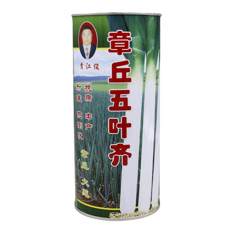 山东铁杆章丘抗倒伏包邮大葱种子