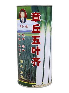 山东铁杆章丘抗倒伏包邮大葱种子