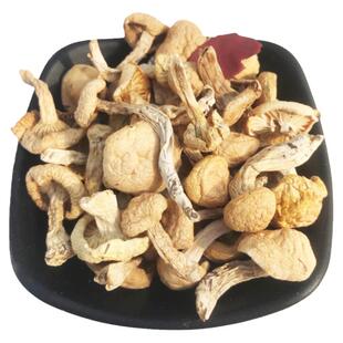 坝上小白蘑野生小白油蘑菇干货承德围场塞罕坝特产野生菌新货包邮