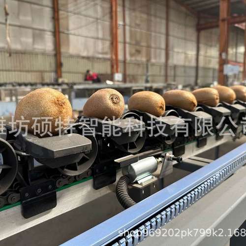 火龙果电子选果机 沙糖橘重量分选机 百香果柑橘多级称重分拣机