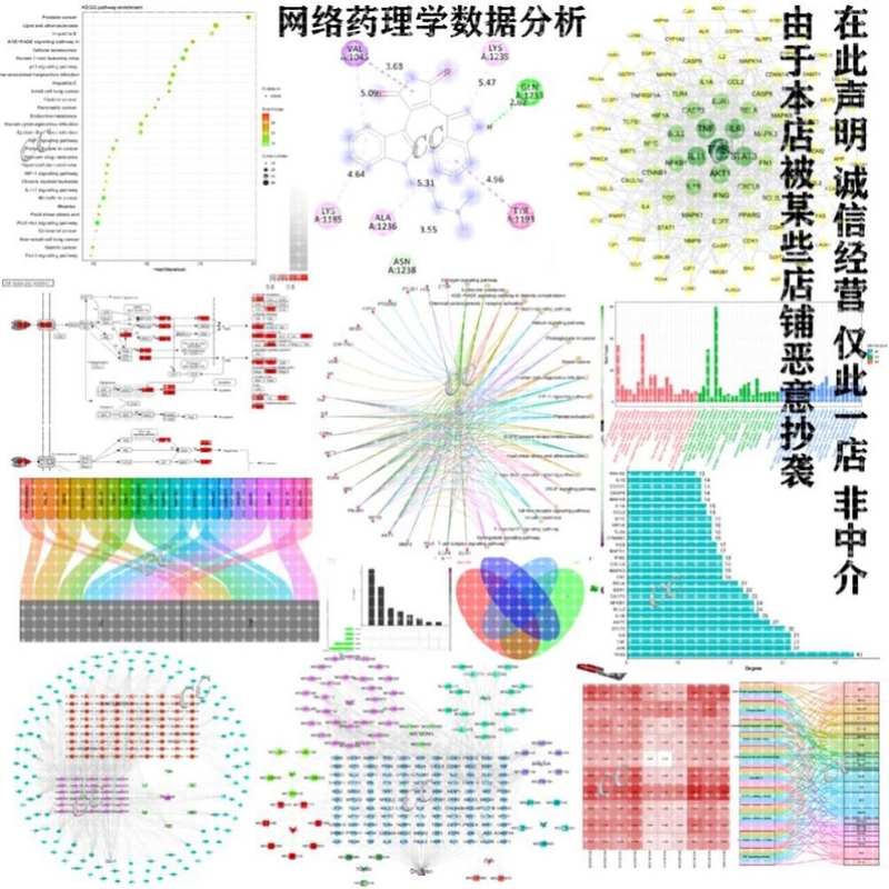 网络药理学中药复方单味药化合物KEGG富集分析机制多疾病分子对接
