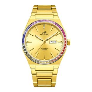 上海手表18K钻石金表男自动机械表国产腕表飞越彩虹官方店6018