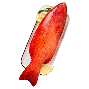 鲜活冷冻深海东星斑鱼  东升斑  （三去）石斑鱼海鲜水产鱼类