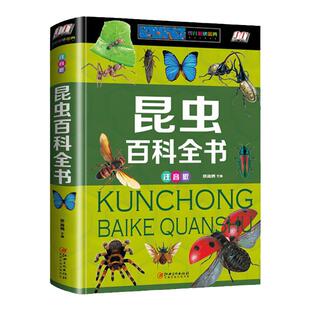 精装彩图注音 珍藏版昆虫百科全书 恐龙百科全书 大百科中国未解之谜植物动物儿童百科全书 小学生一二三年级必课外书阅读书籍读物