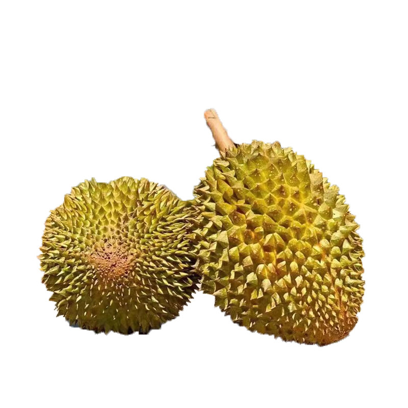 舌尖上的美味托曼尼榴莲