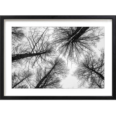 油画布艺术微喷CCTTEDITIONS