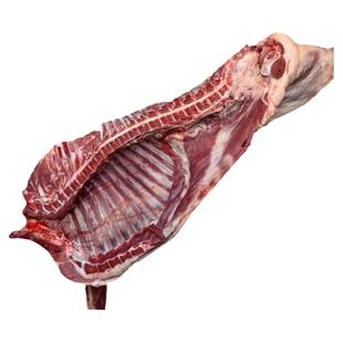 宁夏半只整只滩羊肉新鲜烤全羊羊羔肉羊腿羊排非盐池新疆内蒙古