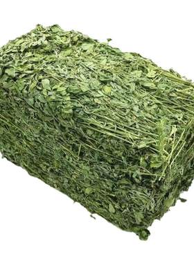 25年归乡提紫花兔子苜蓿草宠物草
