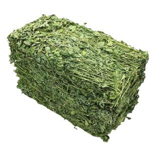 烘干紫花兔子苜蓿草幼兔专用草宠物龙猫饲料荷兰猪归乡提草粮干草