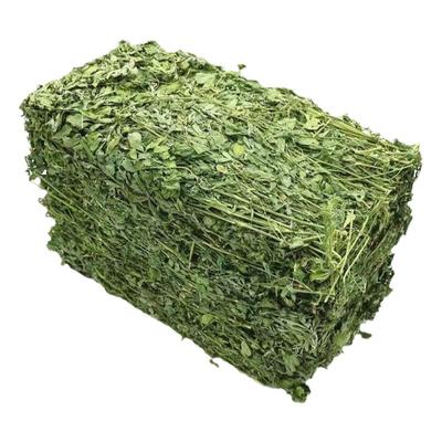 25年归乡提苜蓿草兔子草自产自销