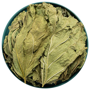 野生桑叶中药材官方旗舰店正品 霜桑叶新鲜桑叶干中草药材