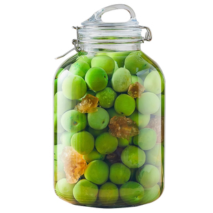 泡酒玻璃瓶专用酒瓶青梅杨梅自酿果酒空瓶食品级密封罐泡酒罐容器