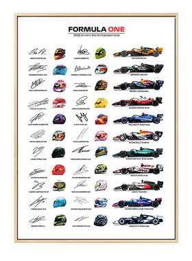 2006赛季F1方程式赛车装饰画