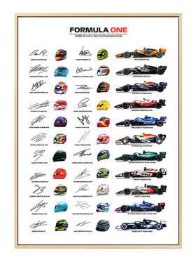 2006赛季F1方程式赛车装饰画