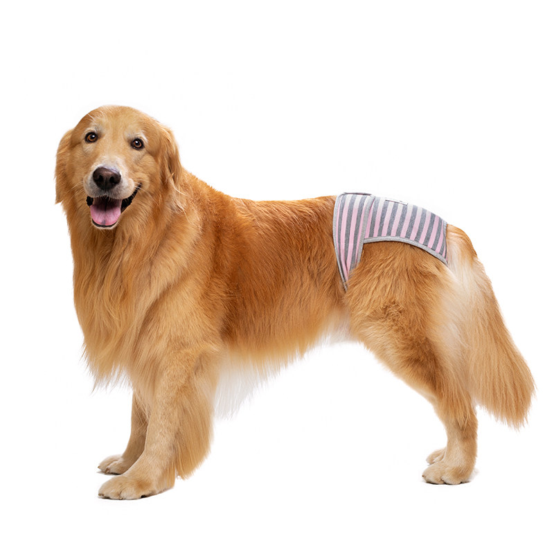 宠物生理裤中大型犬边牧阿拉斯加胖狗月经裤狗狗防骚扰狗狗姨妈裤