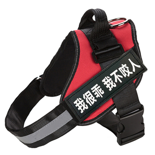 狗链子牵引绳栓狗遛狗防咬耐磨不勒手金毛拉布拉多哈士奇宠物用品