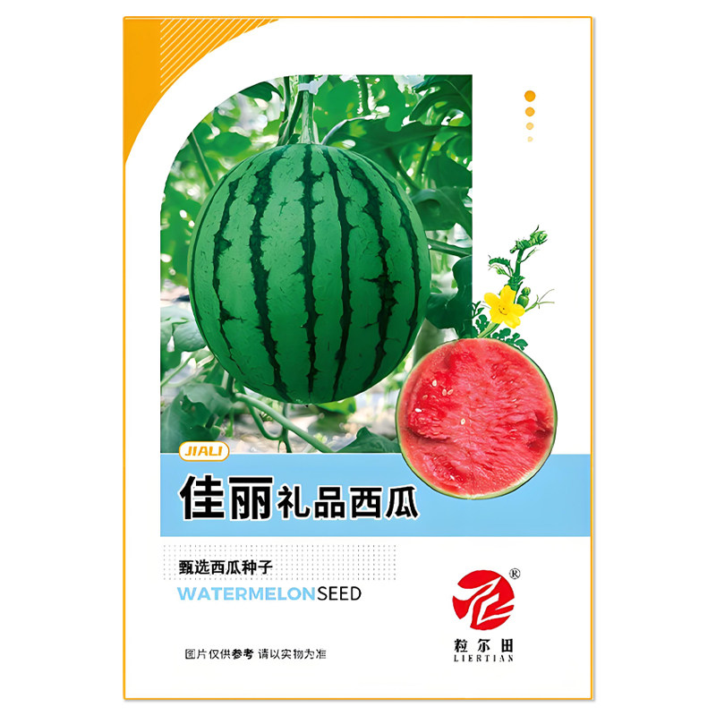 佳丽礼品西瓜种子吊蔓小西瓜