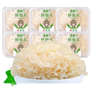古松福建特产古田新鲜银耳非干货雪耳丑耳 白木银耳莲子羹6朵700g