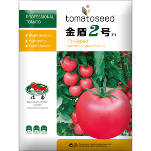 金盾2号番茄种孑耐寒耐热性好口感进口品种抗性强四季西红柿种子