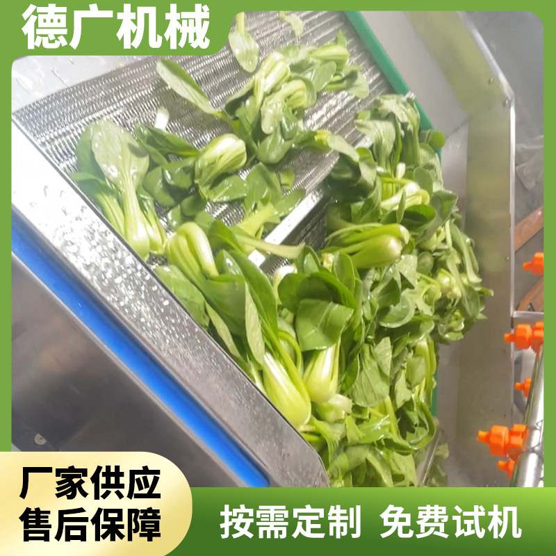 商用鱼虾海产品清洗设备辣椒气泡清洗机预制菜清洗加工设备食品级