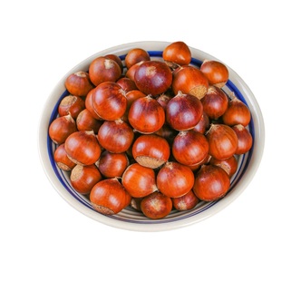 2025年福建建瓯特产高山新鲜锥栗生毛尖糖炒板栗农家现摘野生油栗