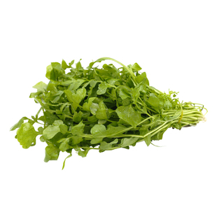 新鲜大叶荠菜500g 野菜农家蔬菜现挖香荠菜新鲜菜馄饨饺子馅食材