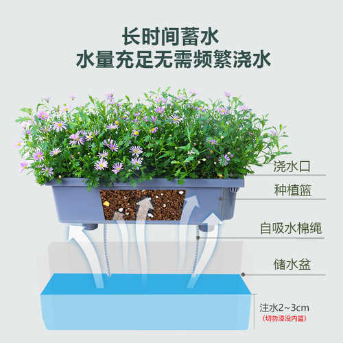西子花语阳台种菜盆自吸水懒人长方形花盆绿植兰花草莓专用种植箱