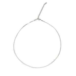 DOUDOUSTORE好质感细版银色蛇骨链项链女欧美极简百搭颈链锁骨链