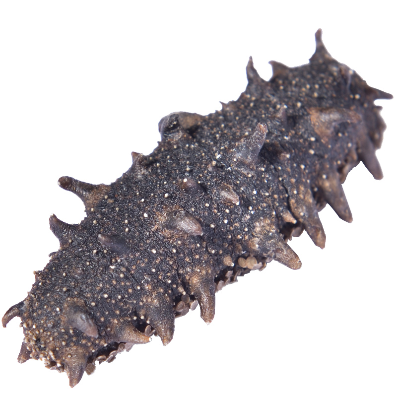 大连7-8年底播野生海参辽刺参干货250g深海参孕妇淡干海参礼盒装