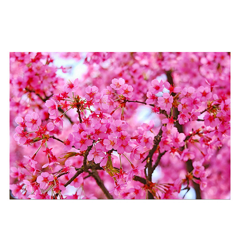 2026旺运桃花贴画防水自粘背景