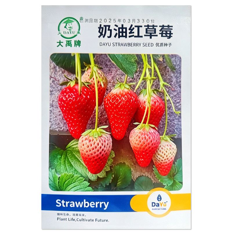 大禹奶油红草莓种子水果种籽