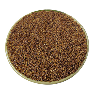 野生菟丝子兔丝子男性滋补养生泡酒料锁阳金樱子风流果天然无硫