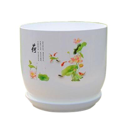 简约塑料盆碗莲睡莲荷花无孔水培