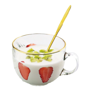 酸奶碗大容量玻璃杯燕麦片早餐杯子女牛奶杯带盖勺碗杯带把咖啡杯