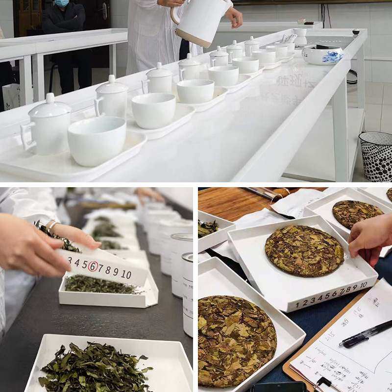 茶叶SC审评茶具认证评审绿茶茶杯评审盘专业评用具茶套装红茶代用