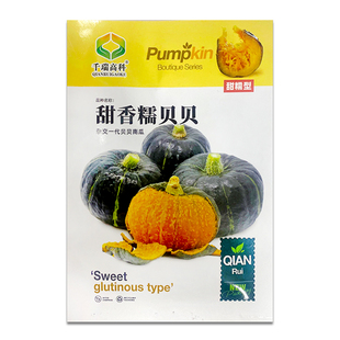 高产绿贝贝迷你小南瓜种子种籽苗板栗味四季板粟秧苗蔬菜孑秧香甜